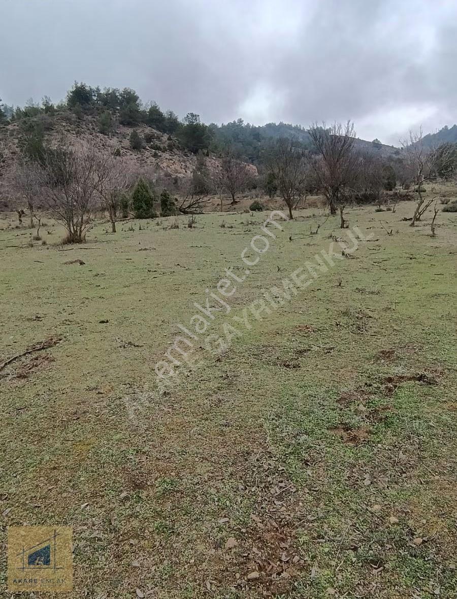 Hobi Bahçesi / Kaçış Noktası