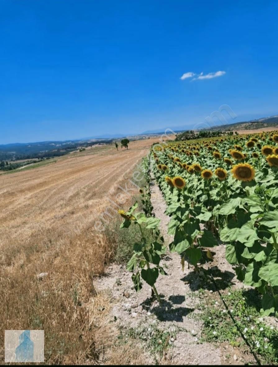 Bursa Ebeköy 5.100m2 Müstakil Tapu