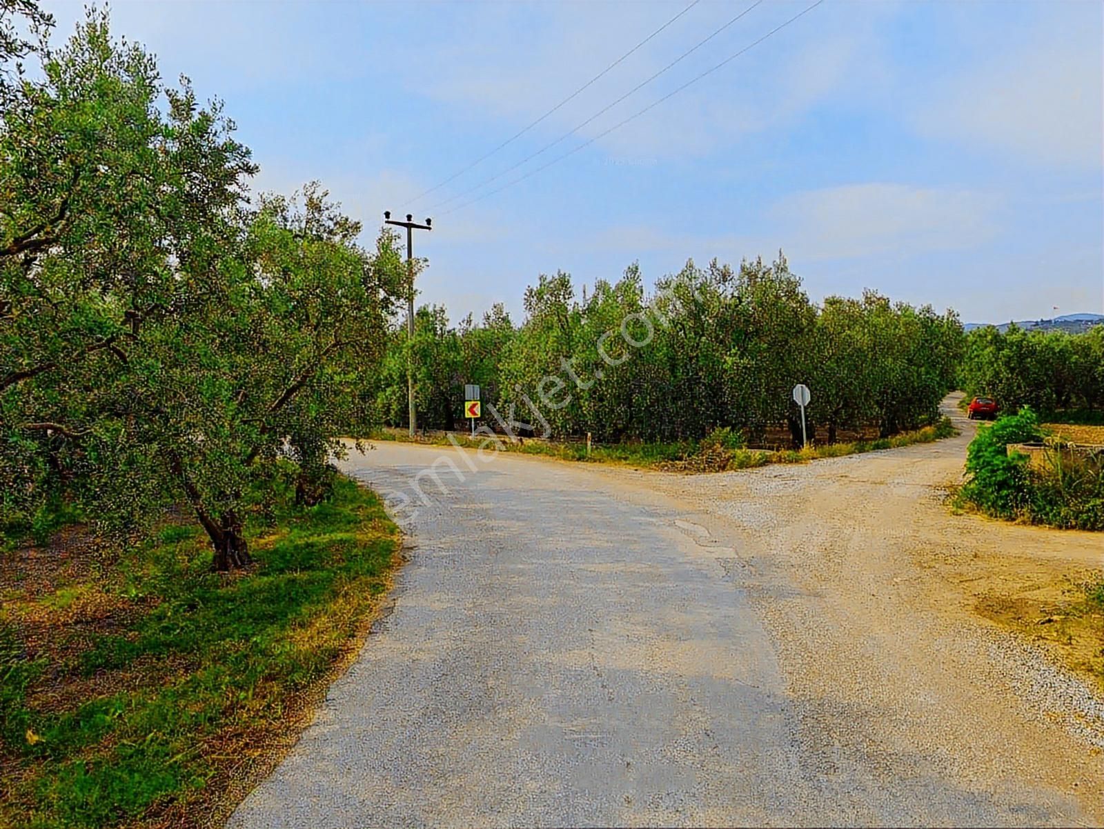 İznik Şerefiye'de Göl Manzaralı Yatırıma Uygun Satılık Arazi - Görsel 3