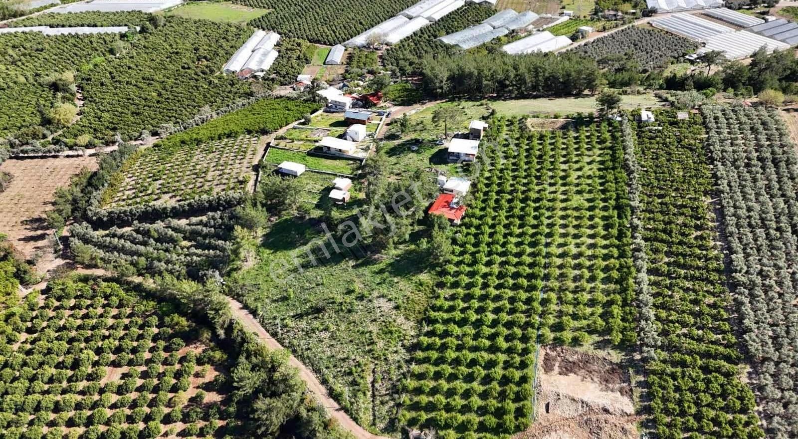 07 Truva Emlaktan Adrasanda Rızai Taksimli Satılık Araziler