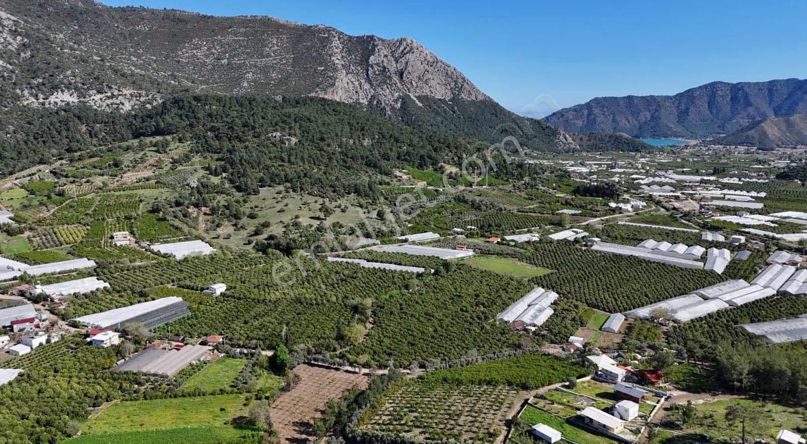 07 Truva Emlaktan Adrasanda Rızai Taksimli Satılık Araziler - Görsel 3