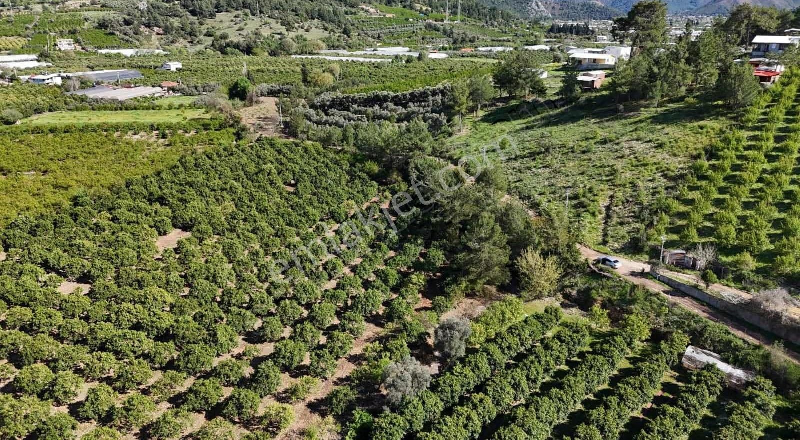 07 Truva Emlaktan Adrasanda Rızai Taksimli Satılık Araziler - Görsel 15