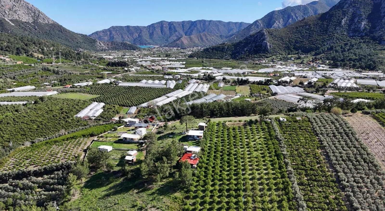 07 Truva Emlaktan Adrasanda Rızai Taksimli Satılık Araziler - Görsel 16