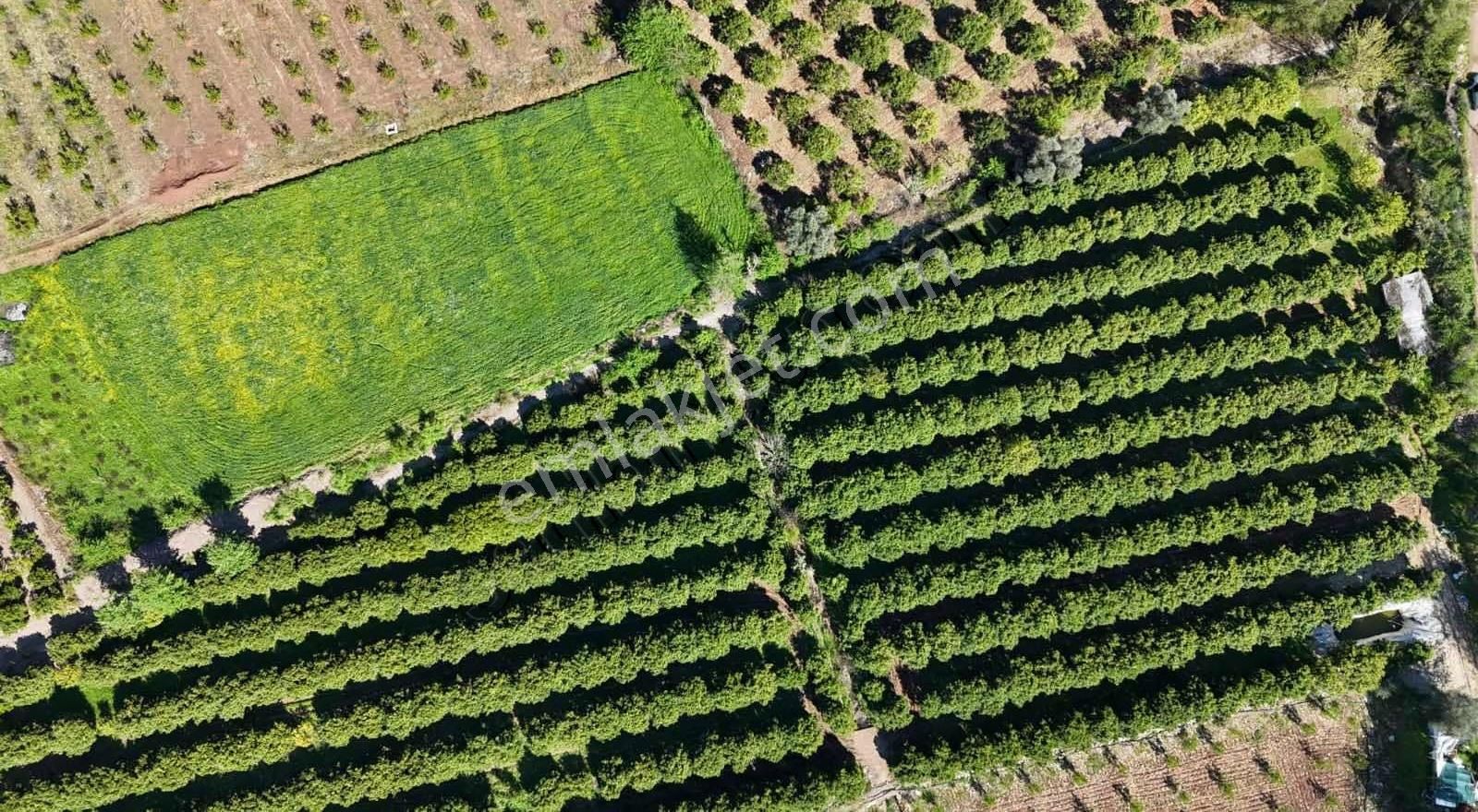 07 Truva Emlaktan Adrasanda Rızai Taksimli Satılık Araziler - Görsel 17