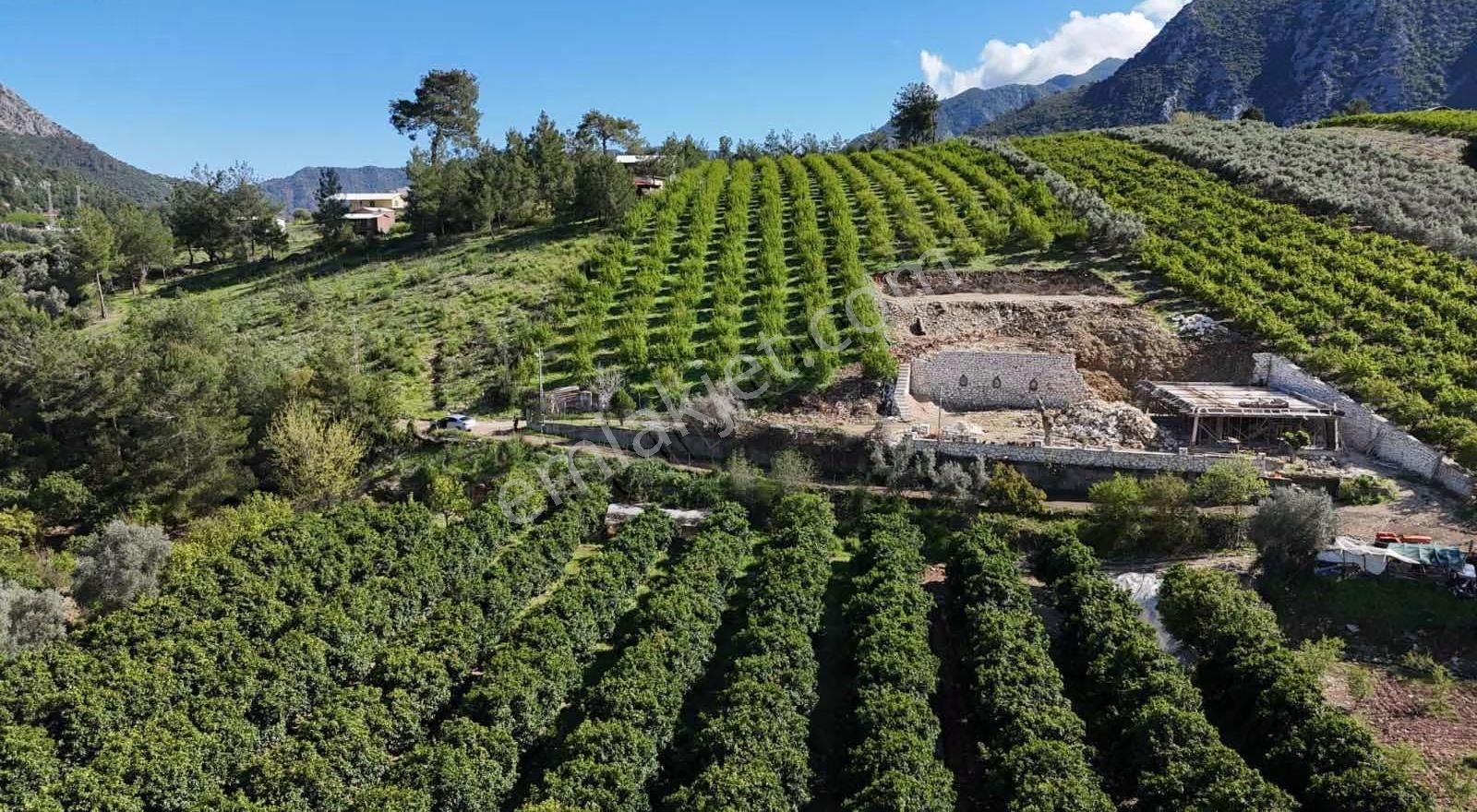 07 Truva Emlaktan Adrasanda Rızai Taksimli Satılık Araziler - Görsel 12