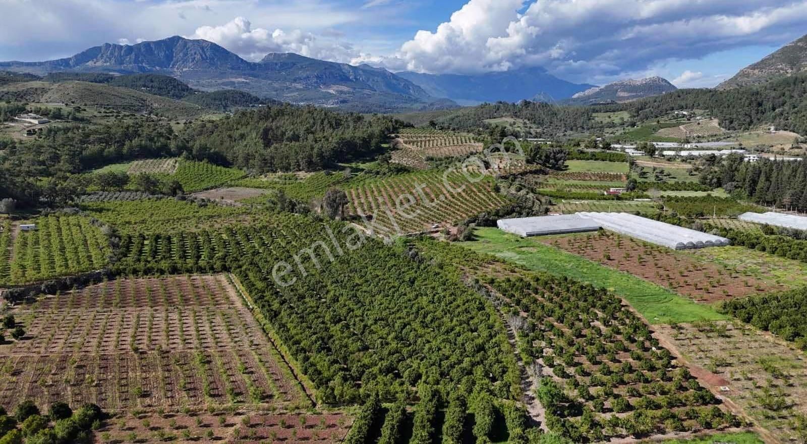 07 Truva Emlaktan Adrasanda Rızai Taksimli Satılık Araziler - Görsel 2