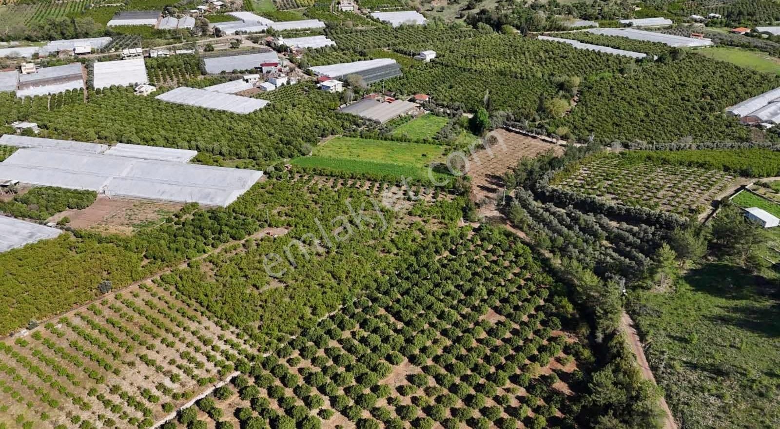 07 Truva Emlaktan Adrasanda Rızai Taksimli Satılık Araziler - Görsel 6