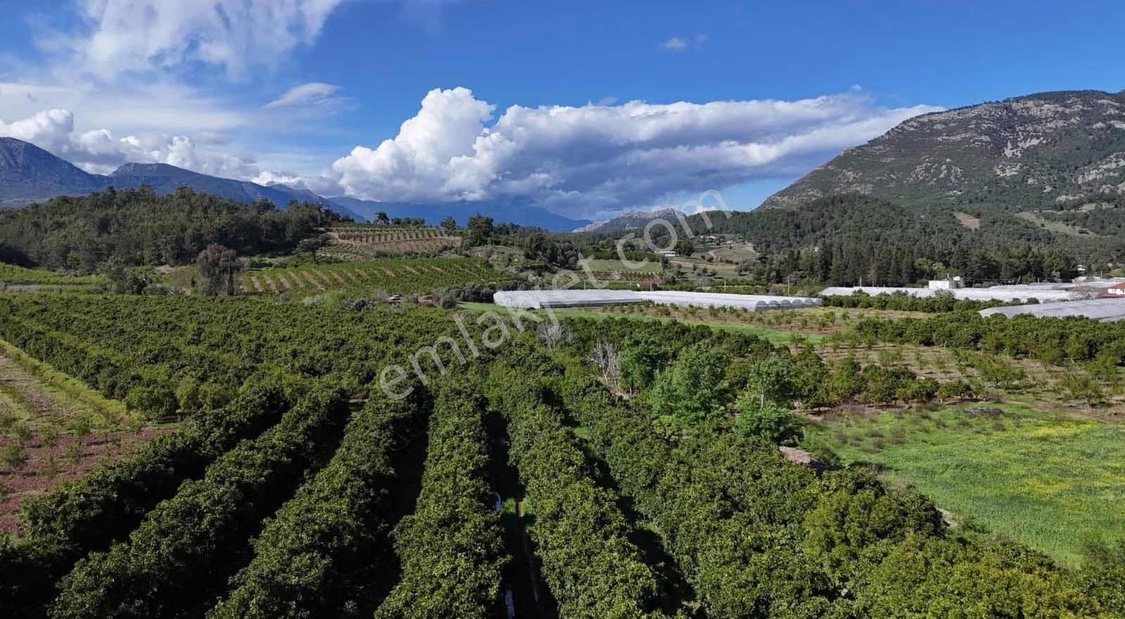 07 Truva Emlaktan Adrasanda Rızai Taksimli Satılık Araziler - Görsel 9