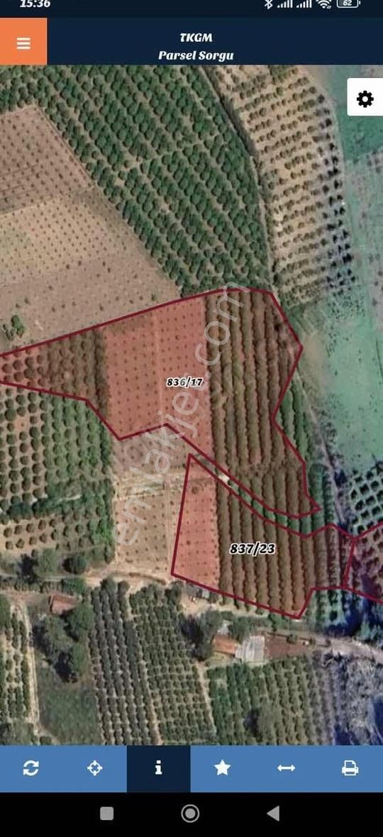 07 Truva Emlaktan Adrasanda Rızai Taksimli Satılık Araziler - Görsel 7