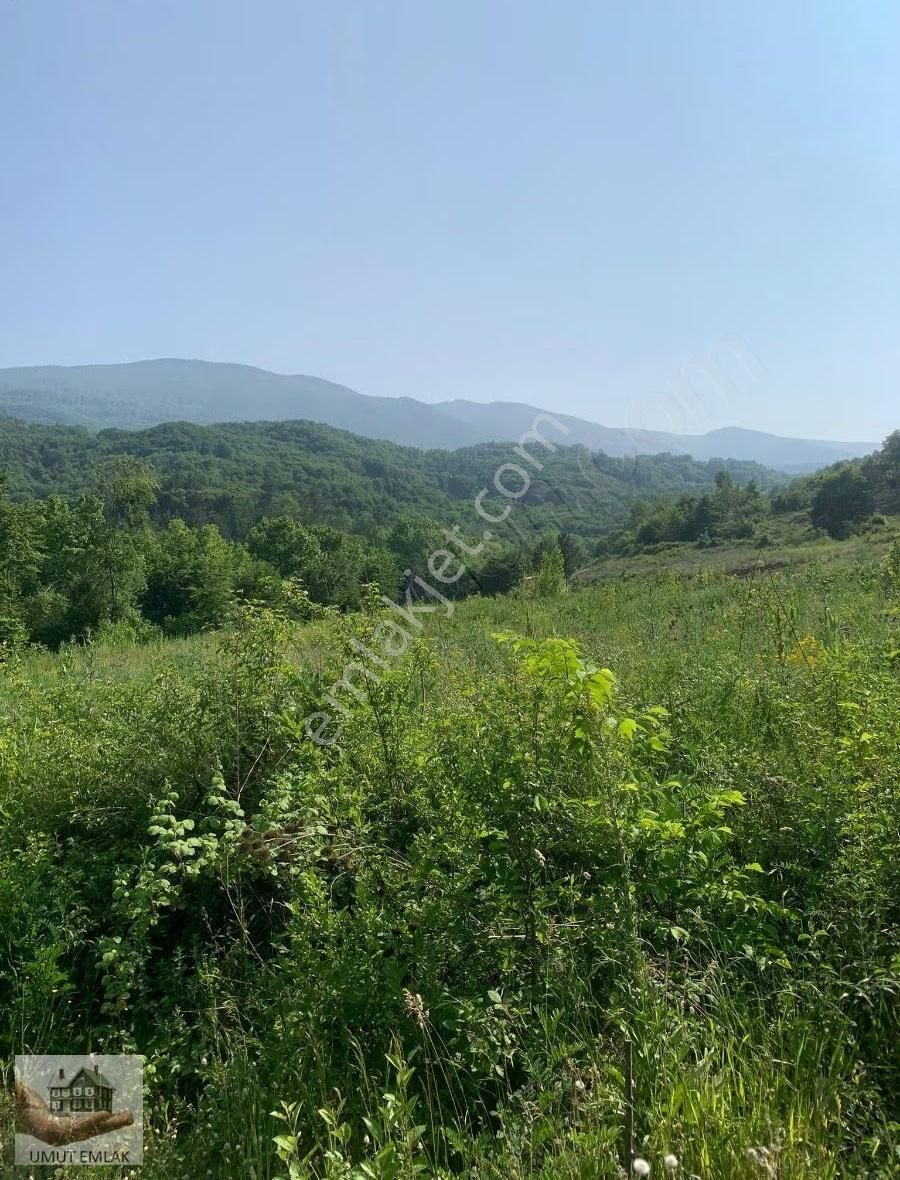 Satılık Bahçe Kestel Kozlu Ören Köyünde - Görsel 9