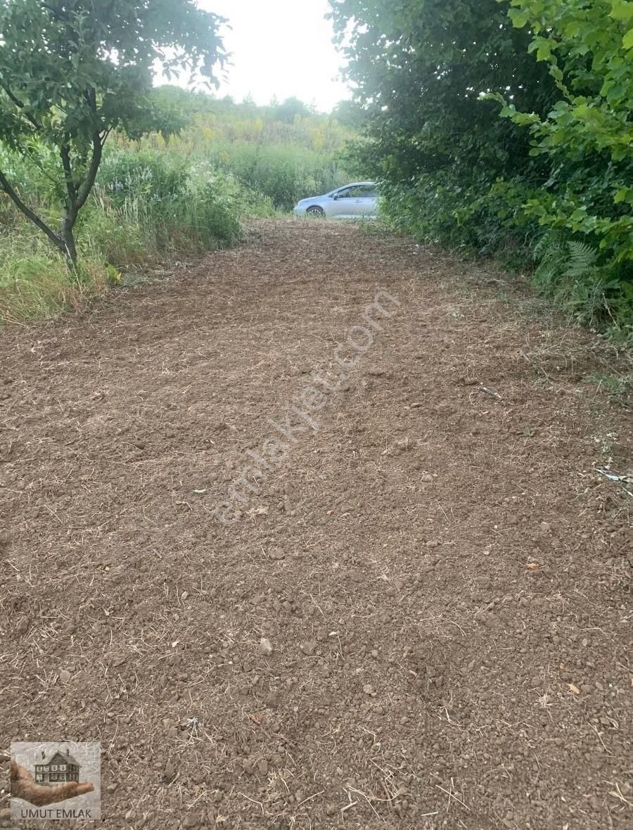 Satılık Bahçe Kestel Kozlu Ören Köyünde - Görsel 4