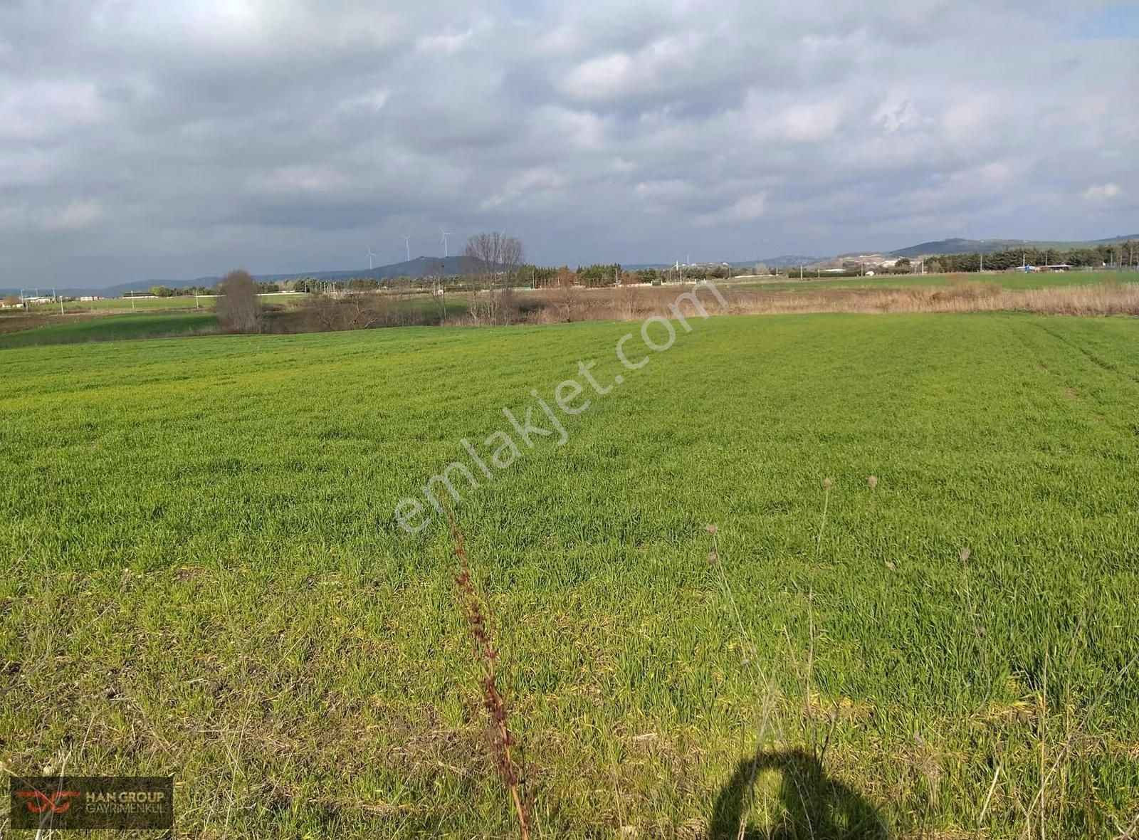 Çatalca İnceğiz'de 10.700 Metre Tarlamız Satılıktır - Görsel 14