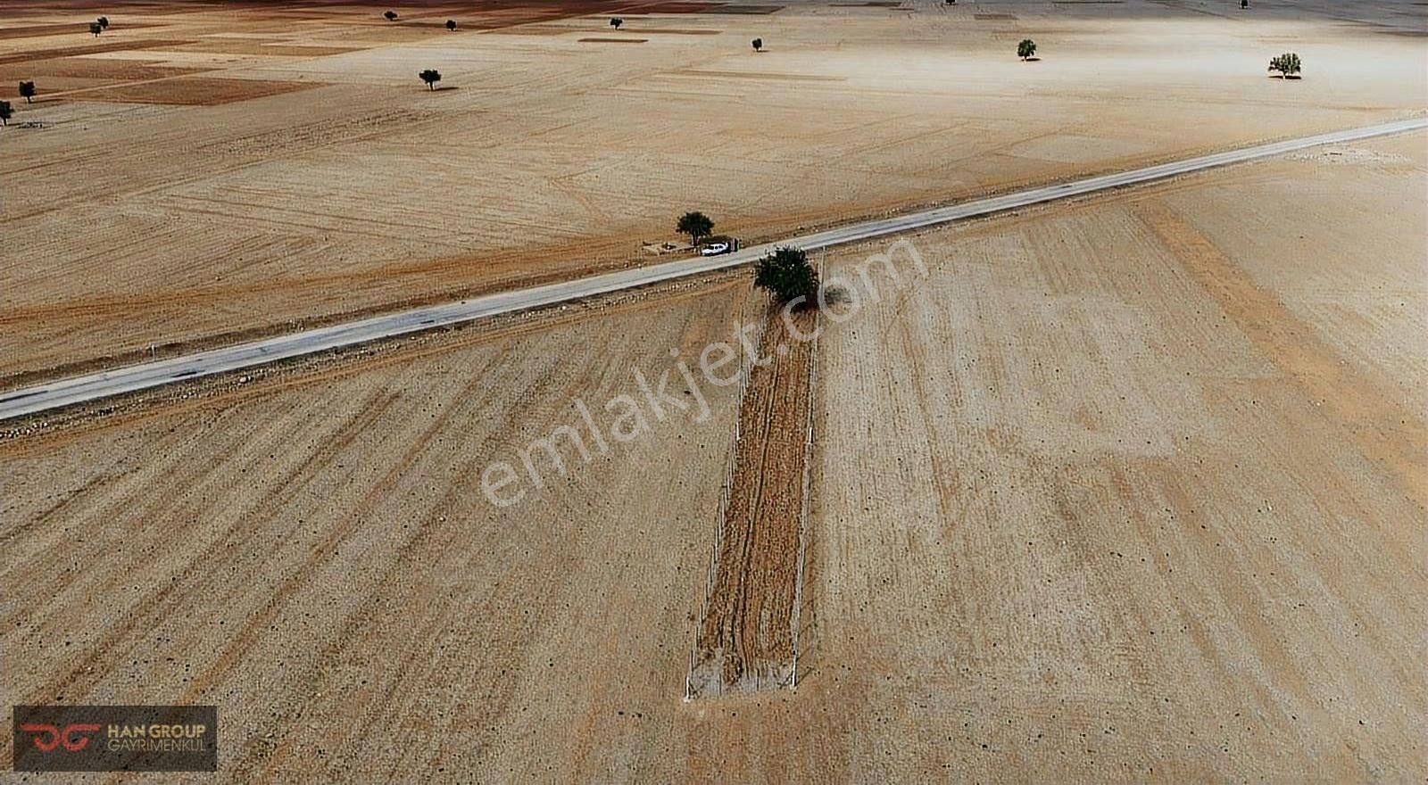 Asfalta Sıfır, Telle Çevrili, Köyün Dibinde Fırsat Tarla !!! - Görsel 2