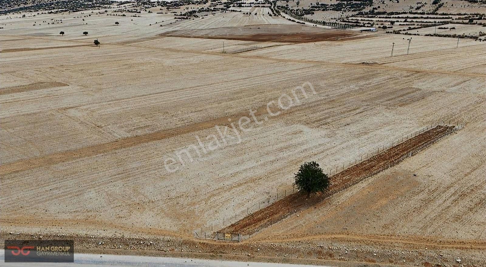 Asfalta Sıfır, Telle Çevrili, Köyün Dibinde Fırsat Tarla !!! - Görsel 15