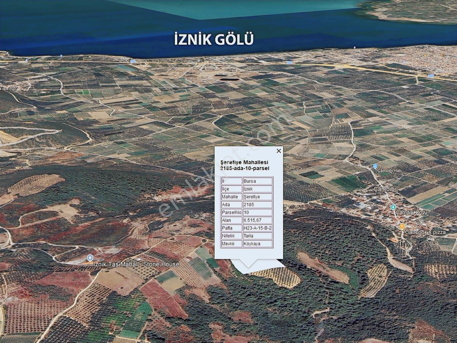 İznik Şerefiye'de Göl Manzaralı Müstakil Tapu Satılık Zeytinlik