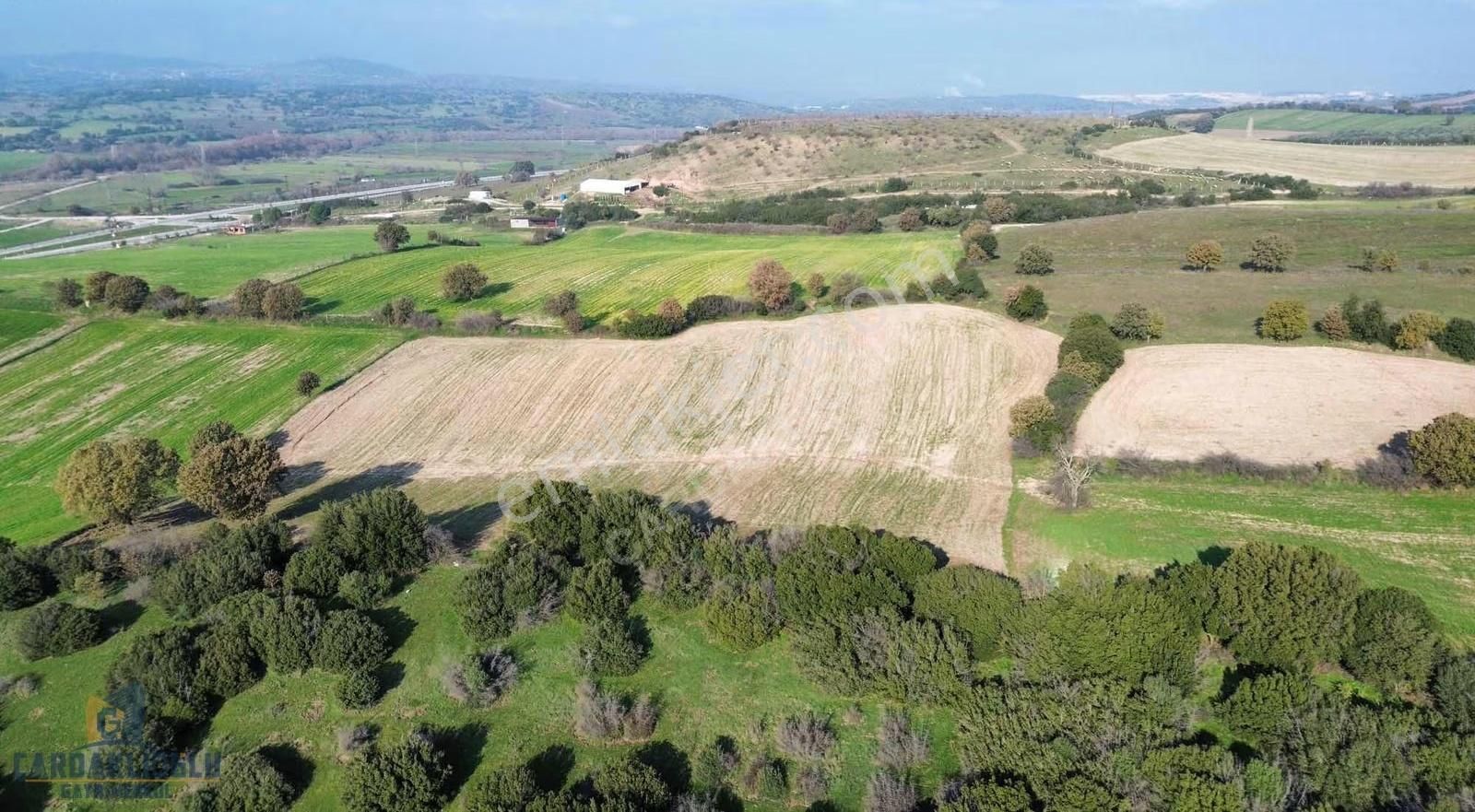 İzmir Asfaltı Üzerinde 9000 M2 Satılık Kelepir Tarla - Görsel 8