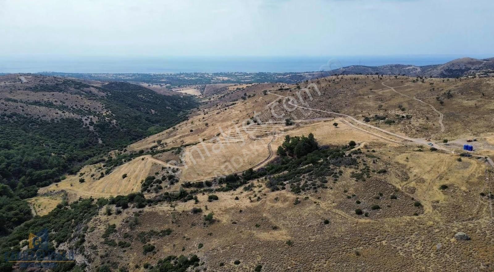 Ayvacık Kösedere Ful Deniz Manzaralı 18.000 M2 Kdstrl Yola Cephe - Görsel 5