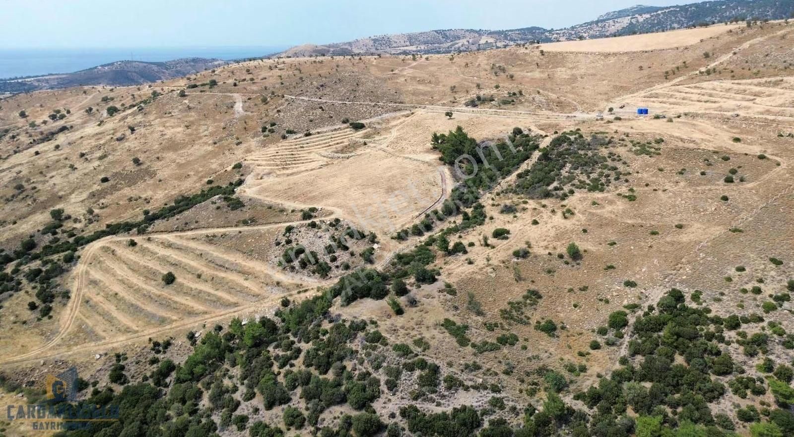 Ayvacık Kösedere Ful Deniz Manzaralı 18.000 M2 Kdstrl Yola Cephe - Görsel 19