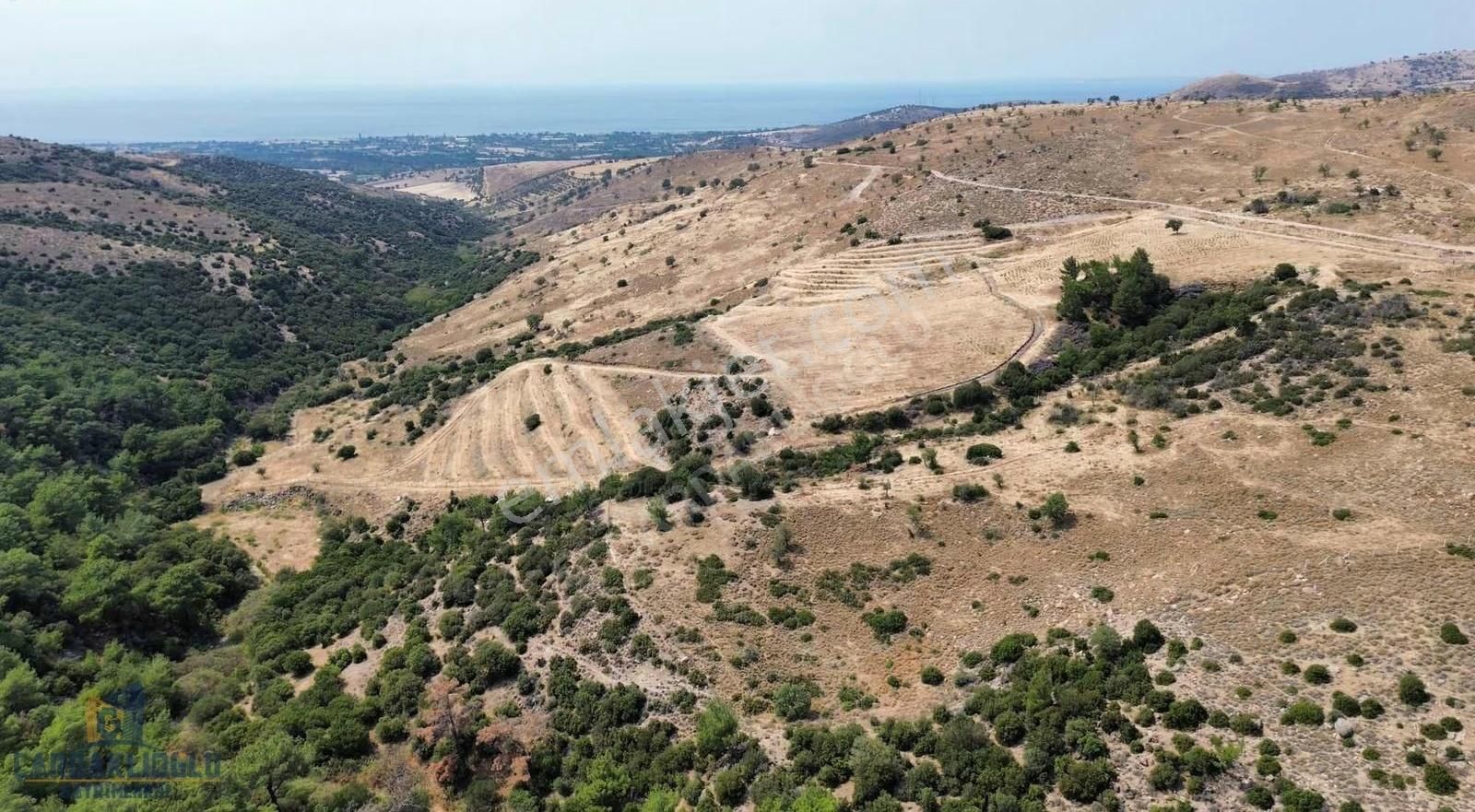 Ayvacık Kösedere Ful Deniz Manzaralı 18.000 M2 Kdstrl Yola Cephe - Görsel 29