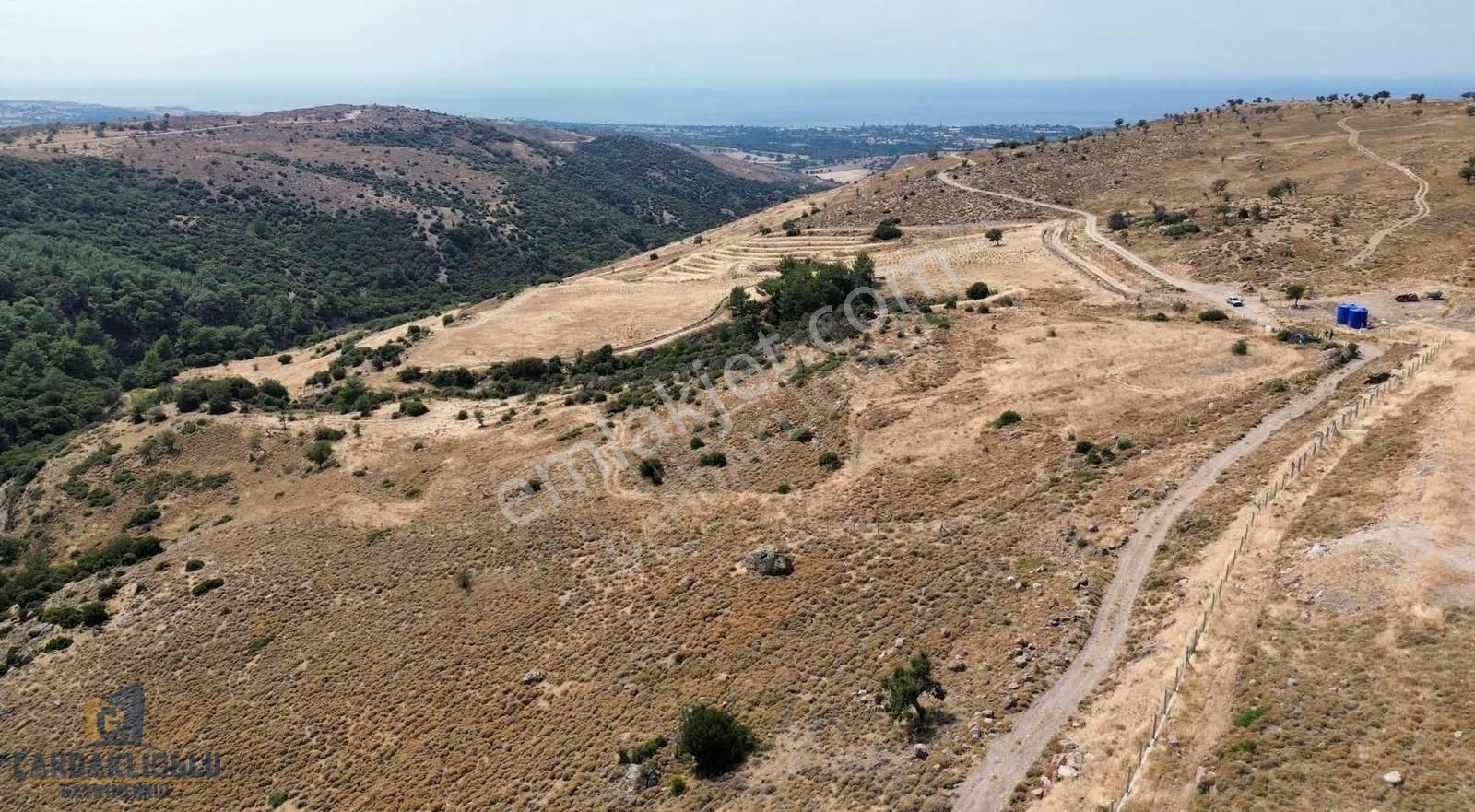 Ayvacık Kösedere Ful Deniz Manzaralı 18.000 M2 Kdstrl Yola Cephe - Görsel 6