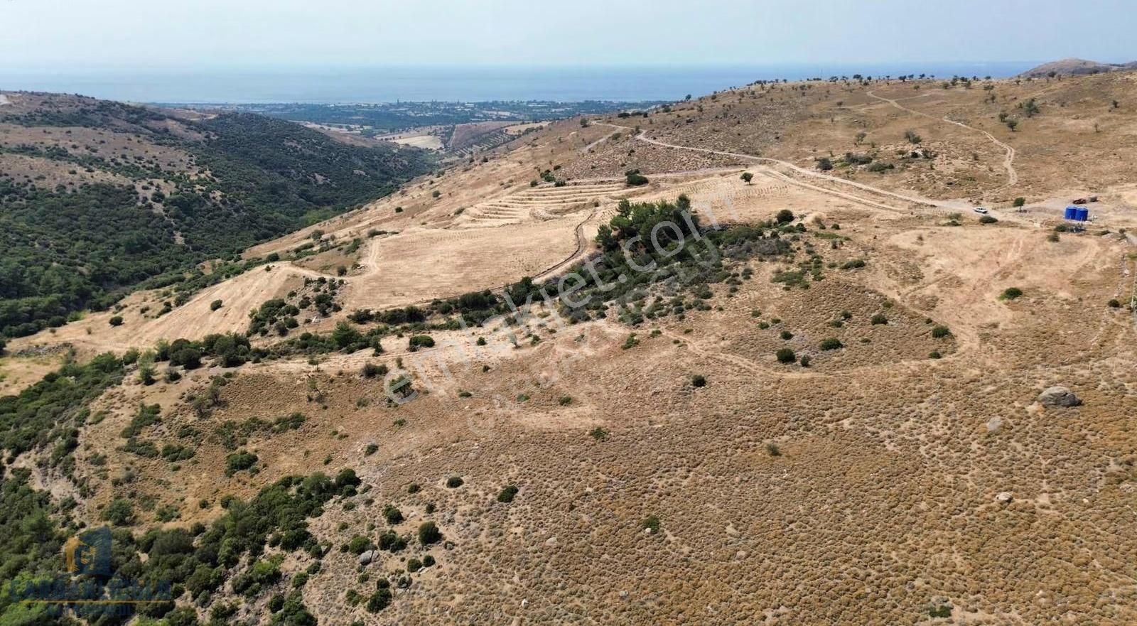 Ayvacık Kösedere Ful Deniz Manzaralı 18.000 M2 Kdstrl Yola Cephe - Görsel 34