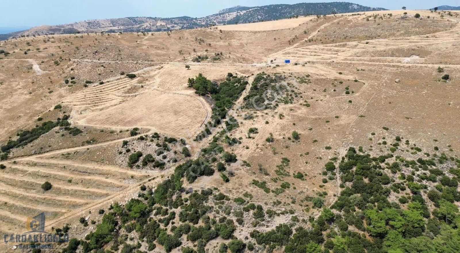 Ayvacık Kösedere Ful Deniz Manzaralı 18.000 M2 Kdstrl Yola Cephe - Görsel 22