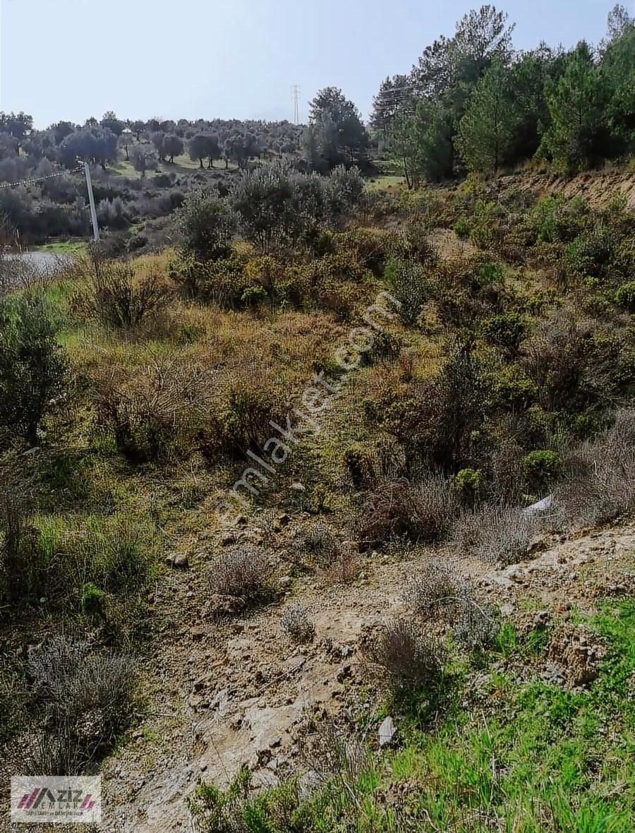Seydikemer Seydilermahallesinde 1.600 M² Kuponyerimiz Satılık - Görsel 20