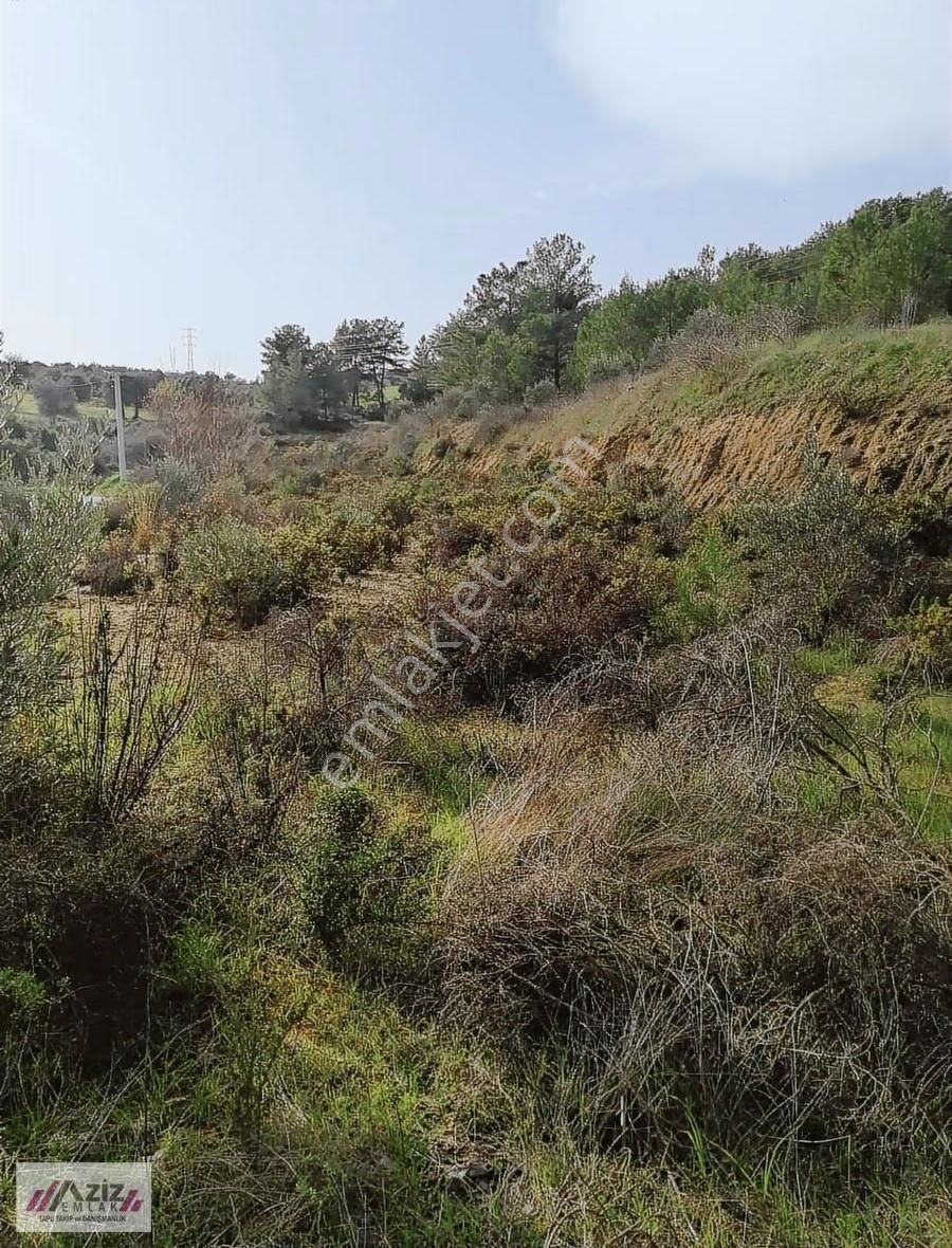Seydikemer Seydilermahallesinde 1.600 M² Kuponyerimiz Satılık - Görsel 27