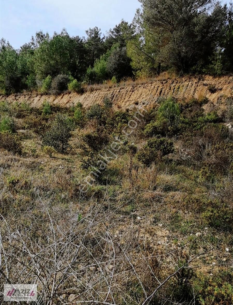 Seydikemer Seydilermahallesinde 1.600 M² Kuponyerimiz Satılık - Görsel 9