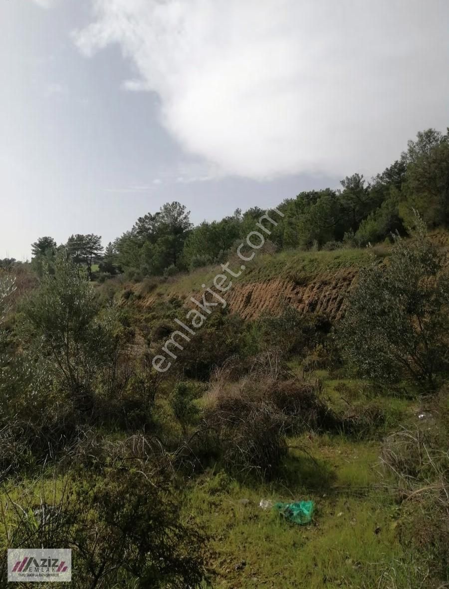 Seydikemer Seydilermahallesinde 1.600 M² Kuponyerimiz Satılık - Görsel 22