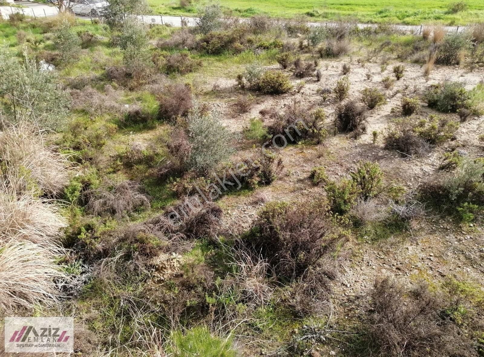 Seydikemer Seydilermahallesinde 1.600 M² Kuponyerimiz Satılık - Görsel 19