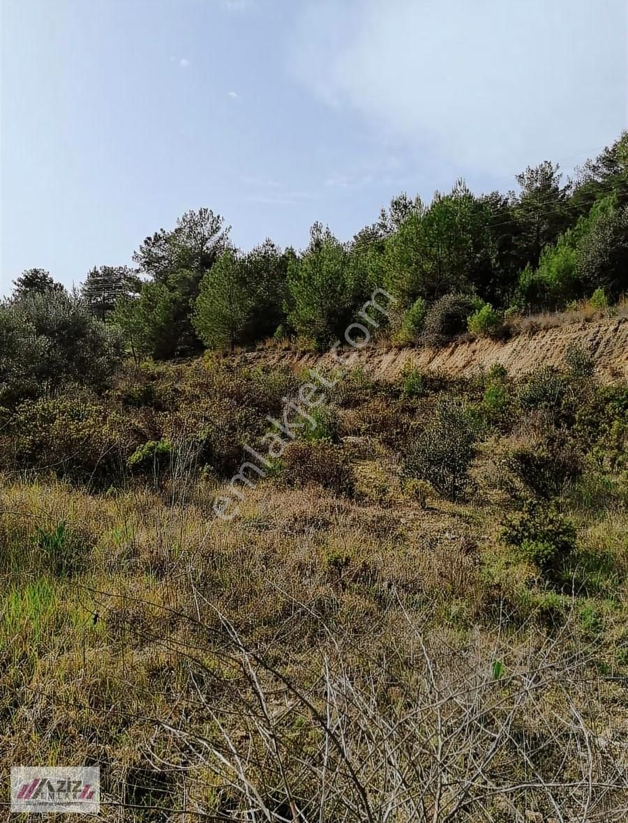 Seydikemer Seydilermahallesinde 1.600 M² Kuponyerimiz Satılık - Görsel 24