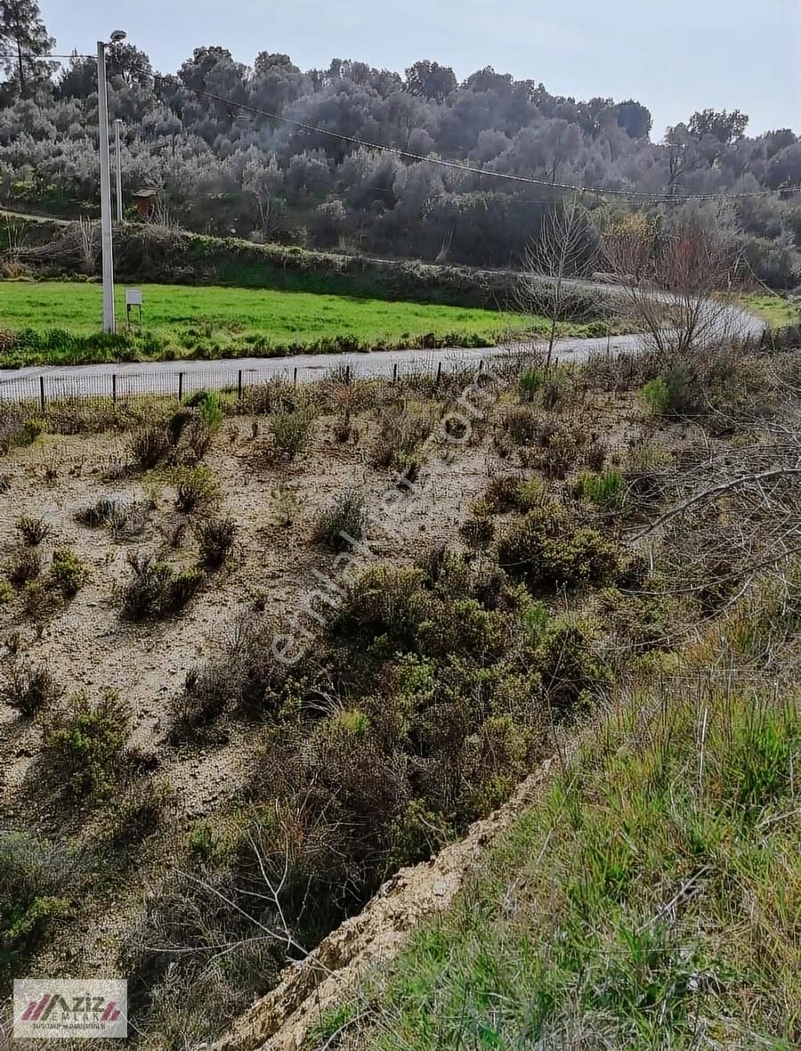Seydikemer Seydilermahallesinde 1.600 M² Kuponyerimiz Satılık - Görsel 14