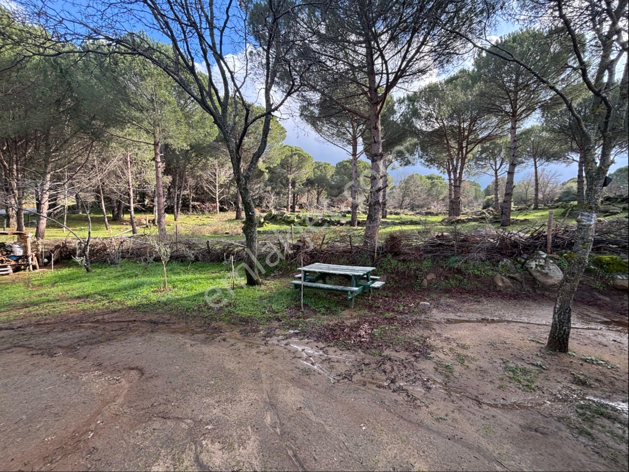 “hafta Sonu Kaçamağı Kozak’ta Orman İçinde Ahşap Ev” - Görsel 10