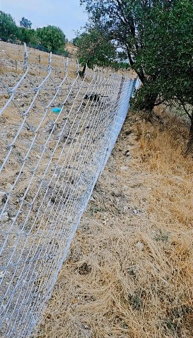 Balıkesir Altıeylül İlcesi Kabaklı Köyü Satılık 3 Dönüm Bagbahce