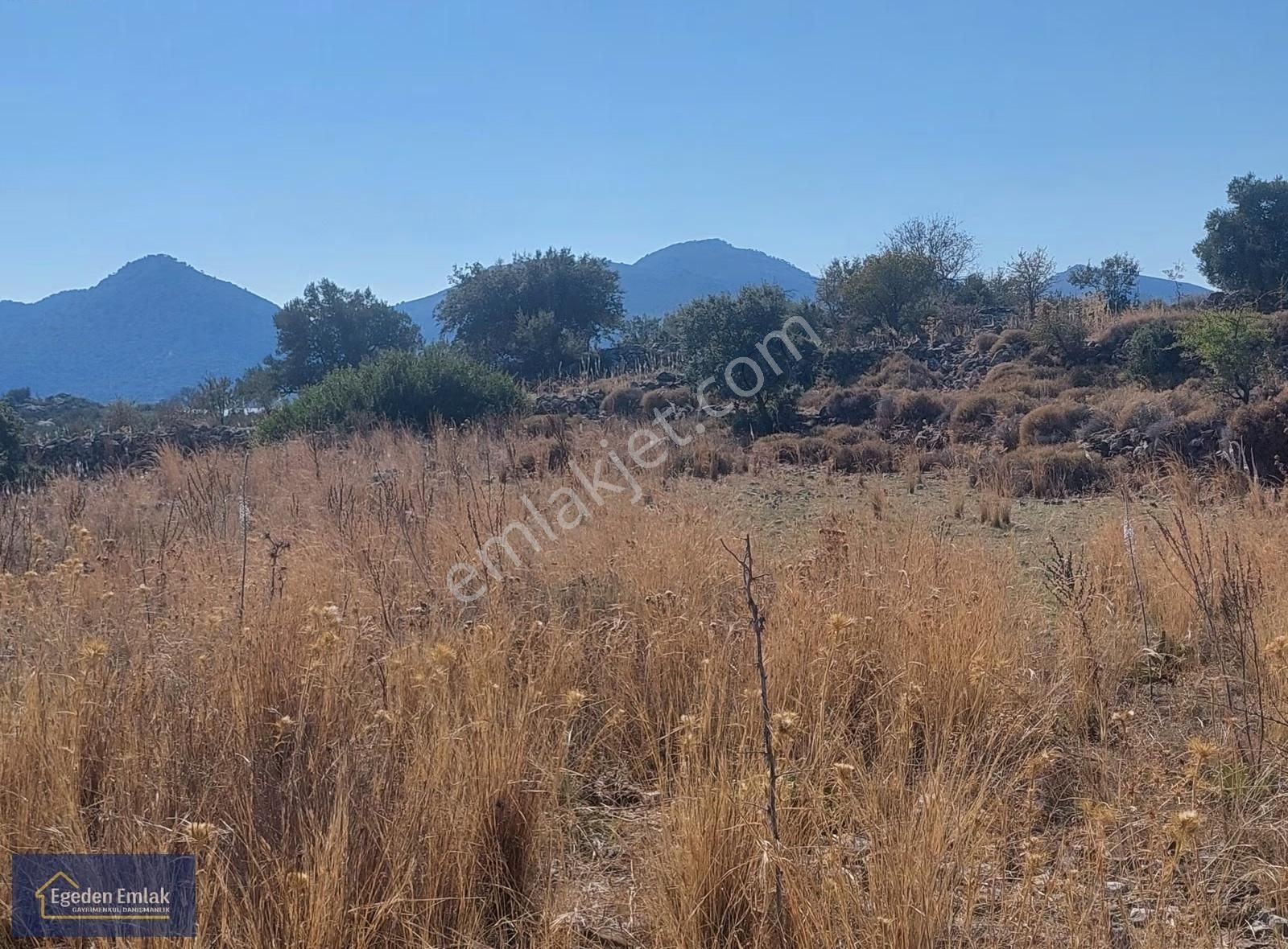 Egeden Emlaktan Satılık Arazi - Görsel 2