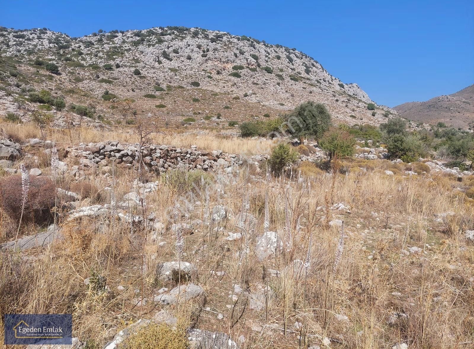 Egeden Emlaktan Satılık Arazi - Görsel 15