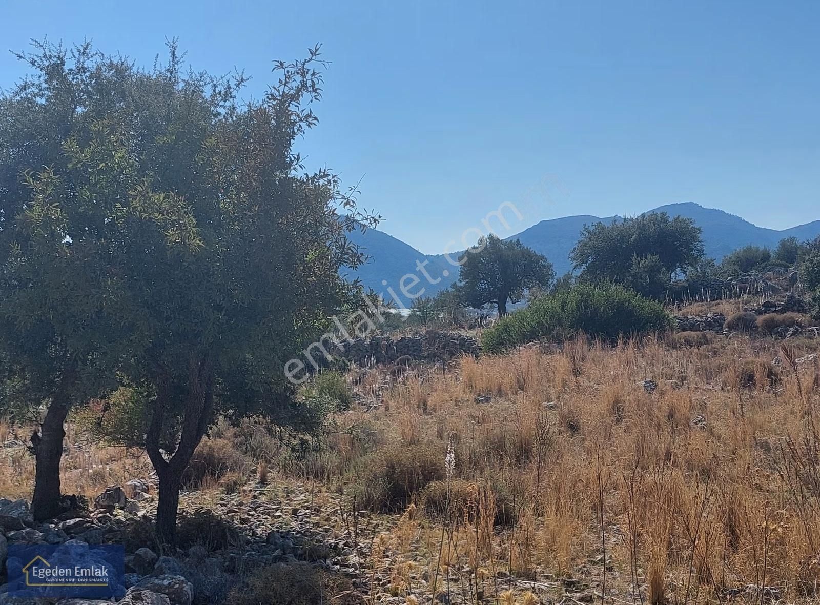 Egeden Emlaktan Satılık Arazi - Görsel 11