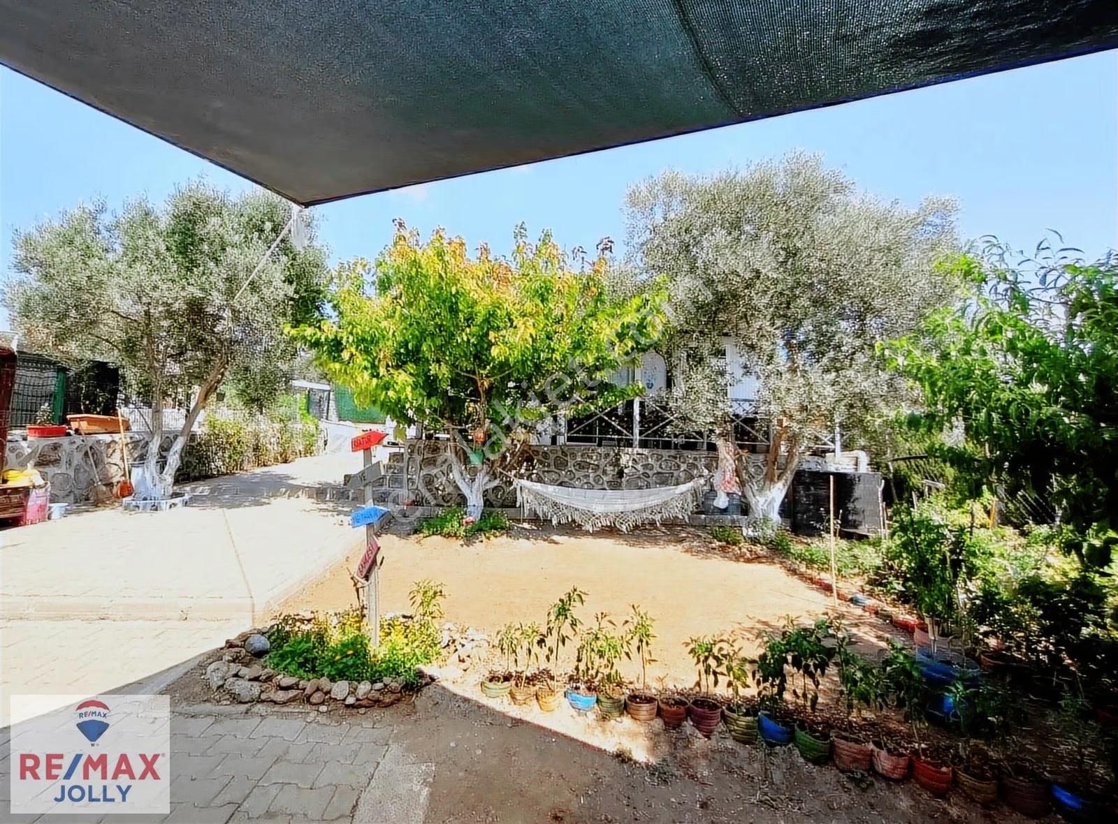 Buca Belenbaşı 232m² Numaratajı Alınmış Fırsat Evi Olan Bahçe