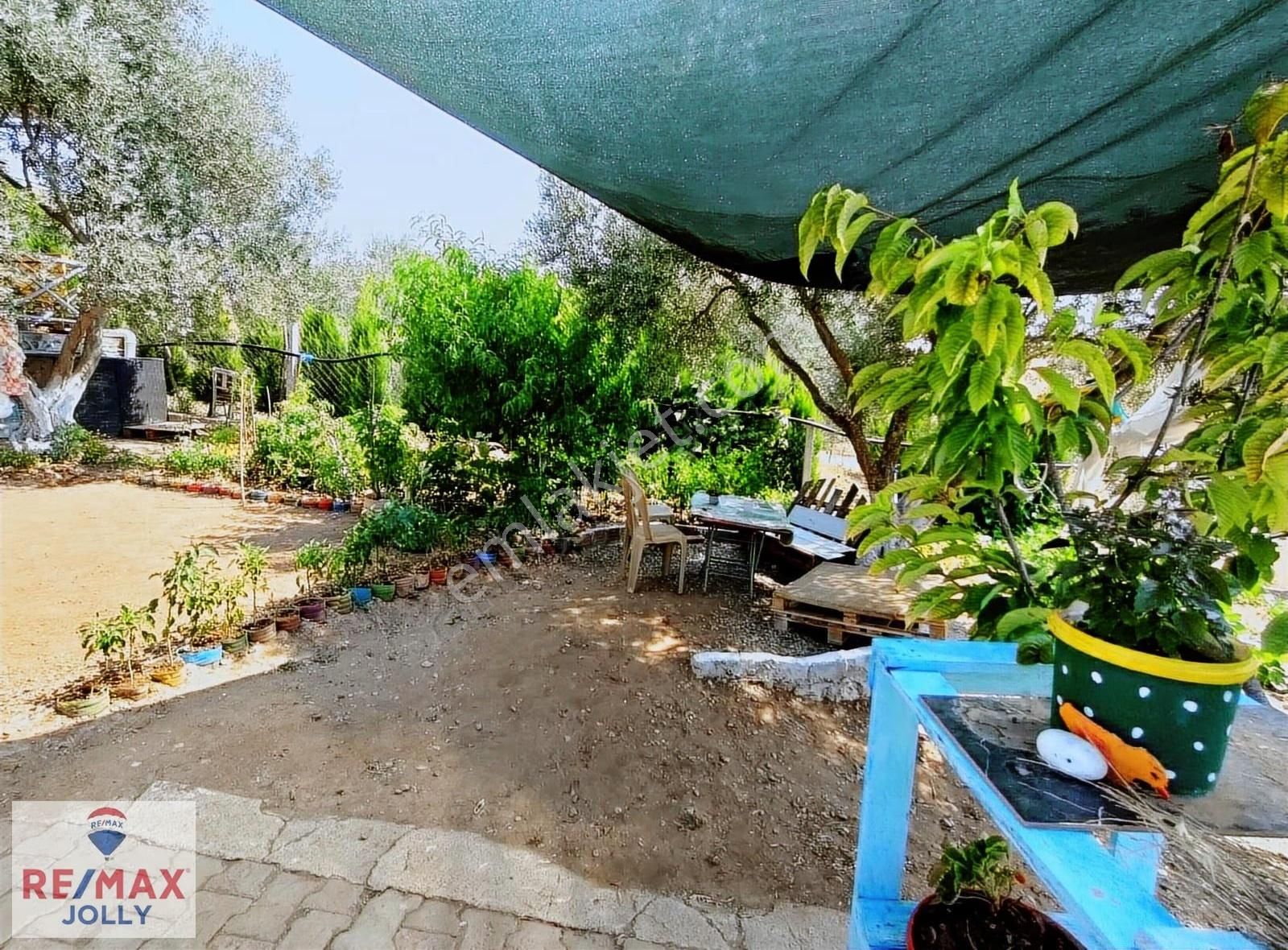 Buca Belenbaşı 232m² Numaratajı Alınmış Fırsat Evi Olan Bahçe - Görsel 3