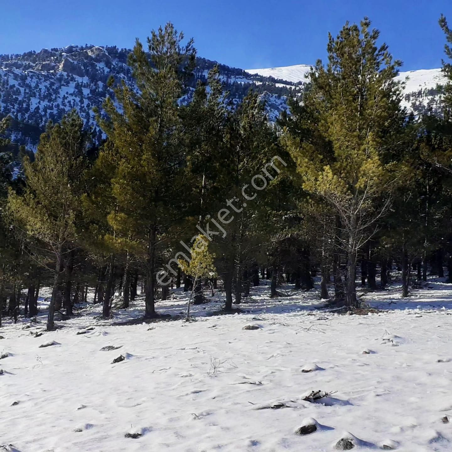 Kar Emlaktan Yeni Konacık Efes Sitesi Üzerinde 400 M2 Satılık Arsa - Görsel 23