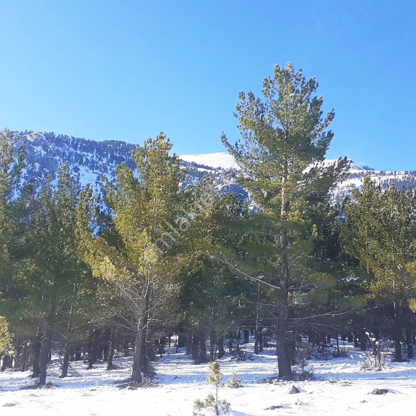 Kar Emlaktan Yeni Konacık Efes Sitesi Üzerinde 400 M2 Satılık Arsa - Görsel 26