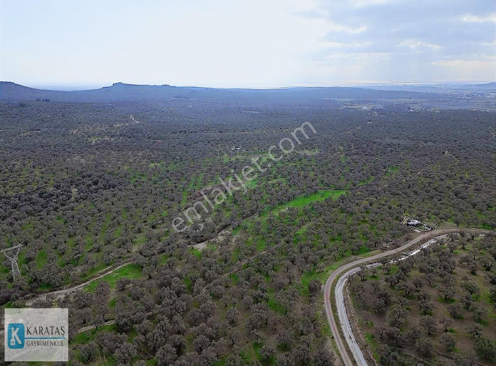 Geniş Resmi Yol Cepheli Satılık 7.600 M2 Satılık Zeytinlik - Görsel 8