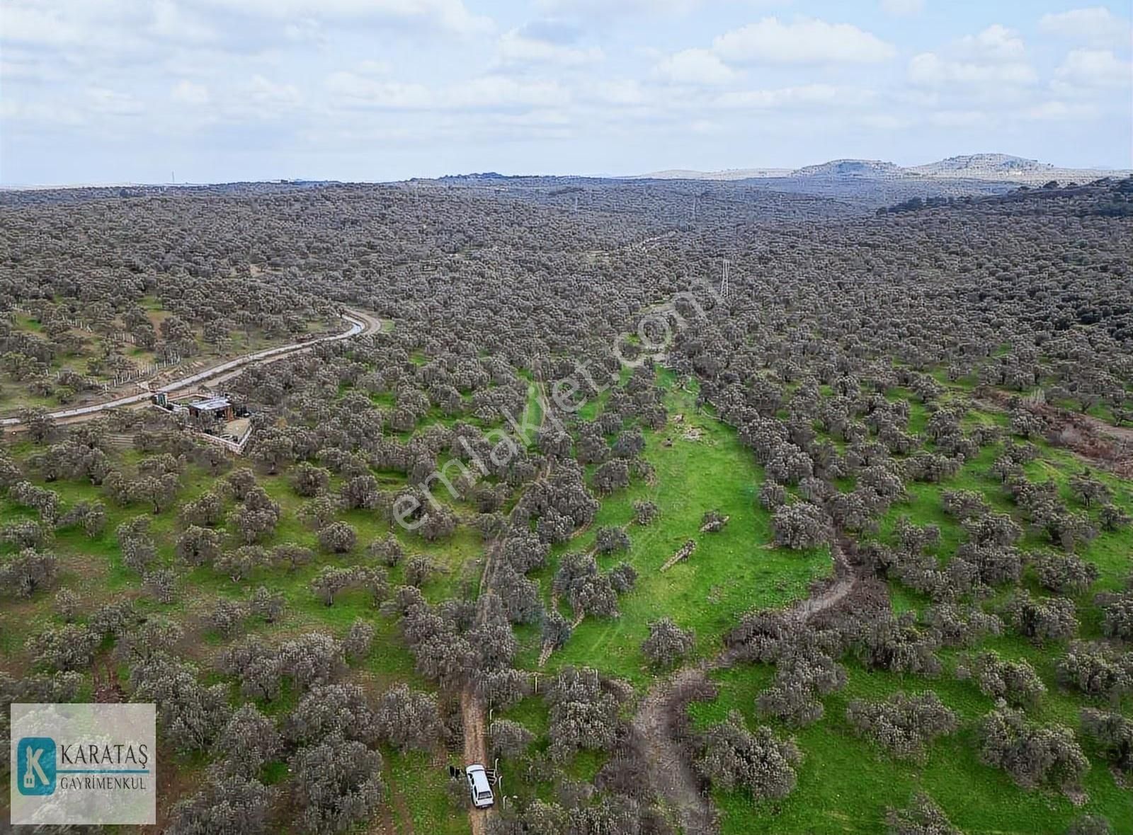 Geniş Resmi Yol Cepheli Satılık 7.600 M2 Satılık Zeytinlik - Görsel 18