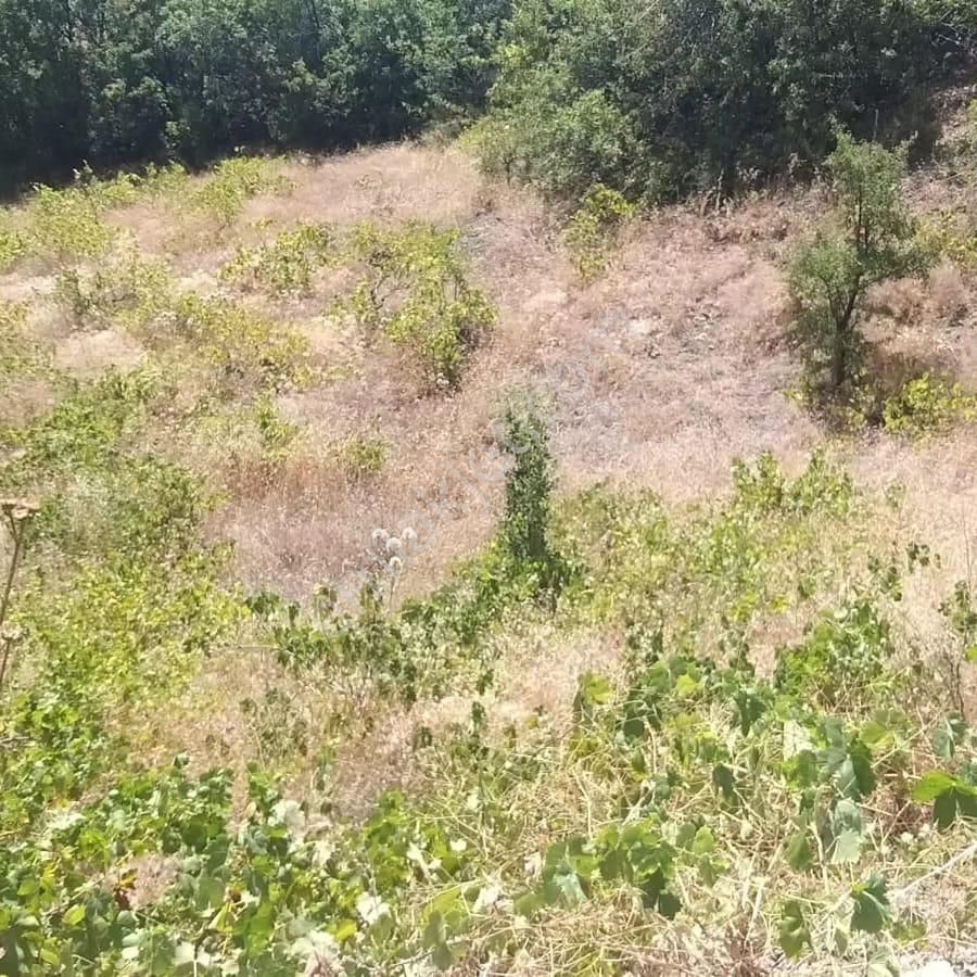 Kar Emlaktan Ömerli Köyünde 1400 M2 Satılık Bahçe - Görsel 19