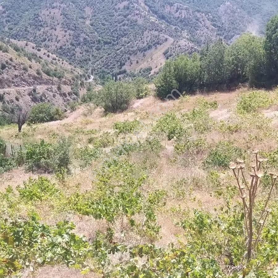 Kar Emlaktan Ömerli Köyünde 1400 M2 Satılık Bahçe - Görsel 15