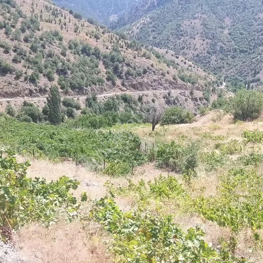 Kar Emlaktan Ömerli Köyünde 1400 M2 Satılık Bahçe - Görsel 24