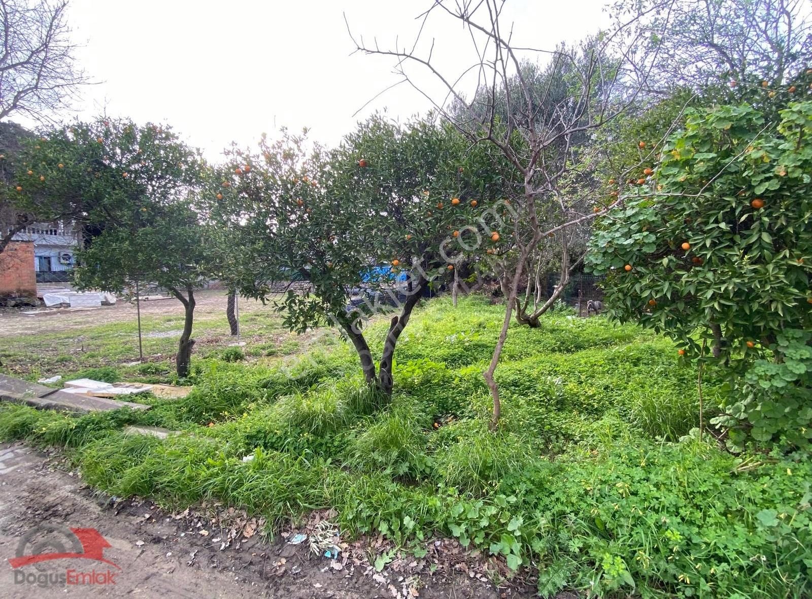 Doğuş Emlak'tan Merkezde Köşe Parsel 450 M2 İmarlı Arsa - Görsel 4