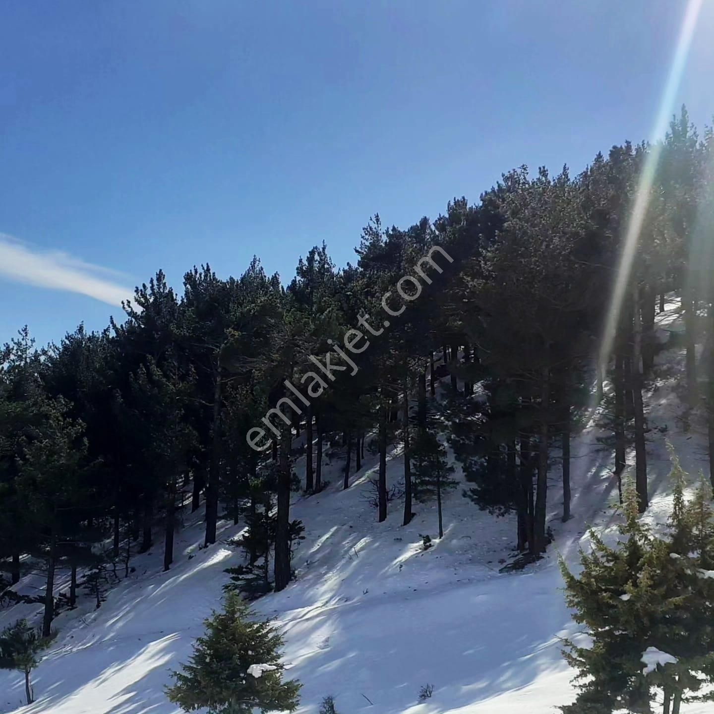 Kar Emlaktan Yeni Konacık Bozkırlı Mevkiinde 400 M2 Satılık Arsa