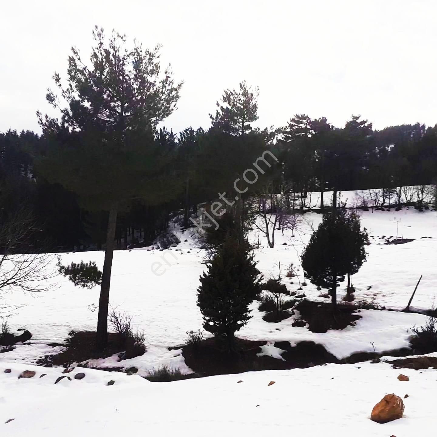 Kar Emlaktan Yeni Konacık Efes Sitesi Yanı 400 M2 Satılık Arsa - Görsel 3